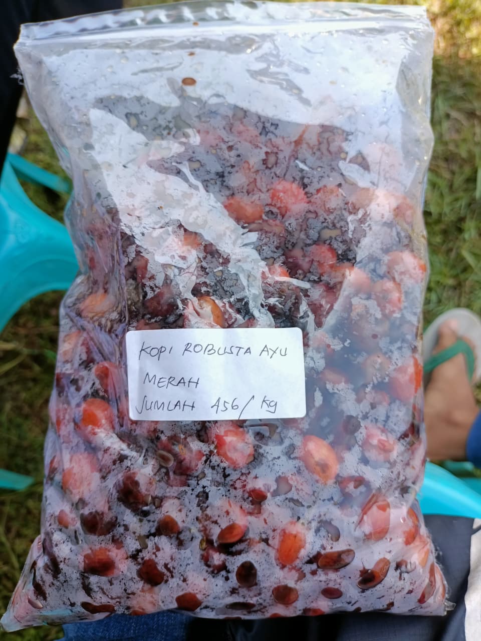 Coffee Lot Identification and Sample Tracking