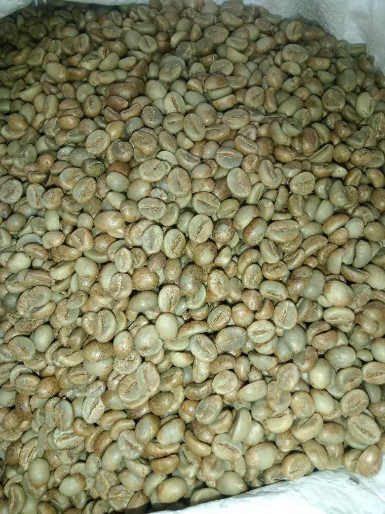 Robusta Grade 1 Temanggung premium clean herbal cocoa finish export-quality green coffee beans